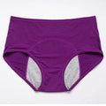Leak Proof Menstrual Panties Physiological Pants Women Underwear Period Comfortable Waterproof Briefs