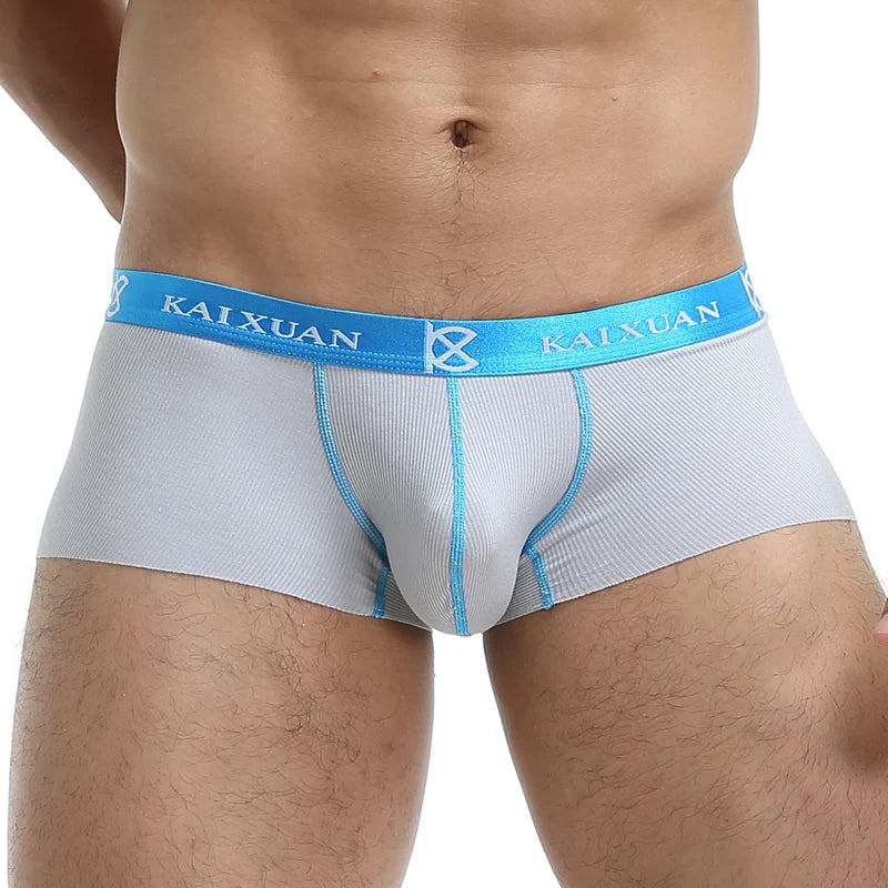 Seamless Men Boxers Luxury Silk Spandex 3D Crotch Boxer Underwear Shorts Slips Underpants